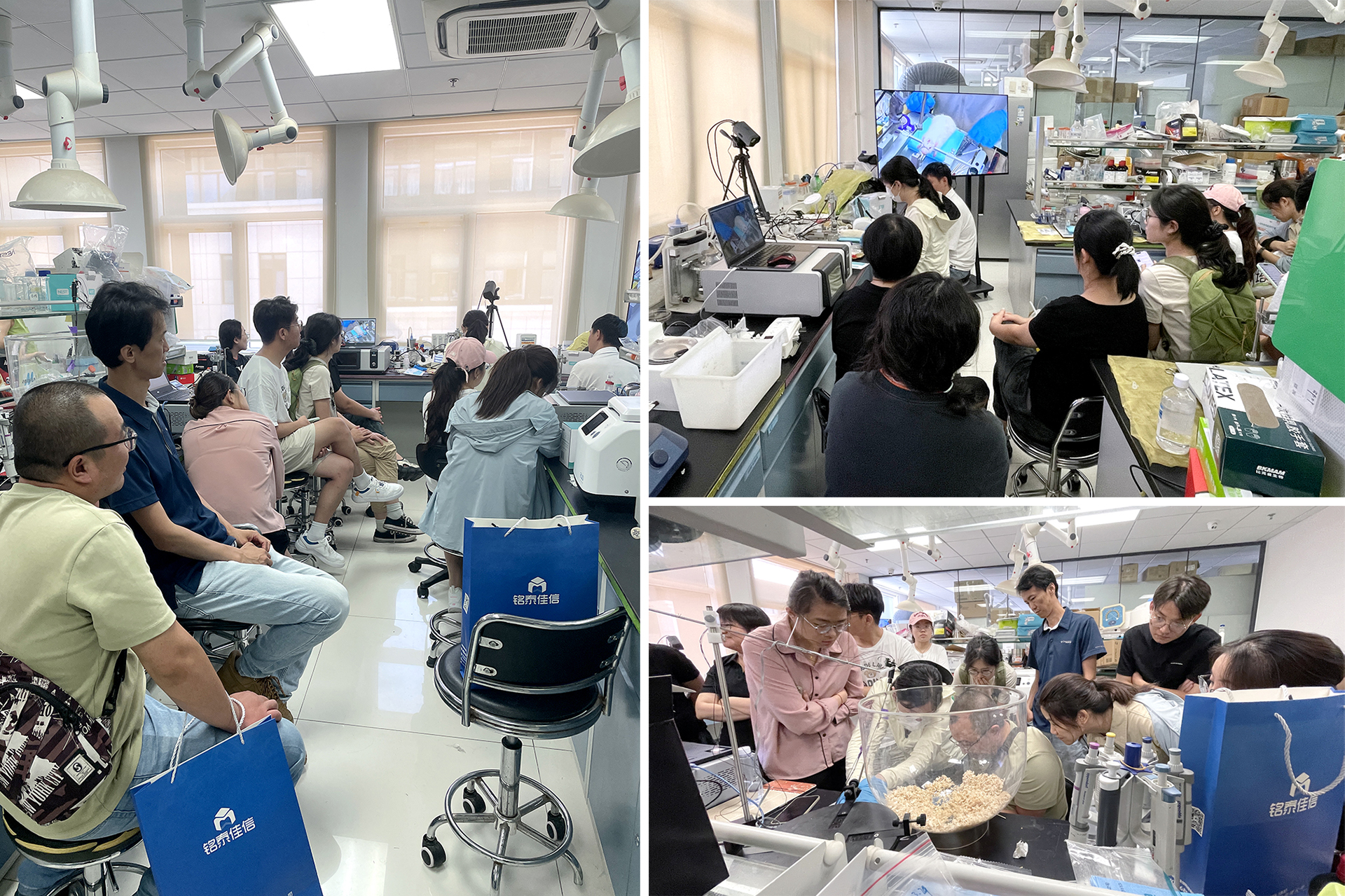 202508121700.jpg 2025-08-07 134220 拷贝 2.jpg