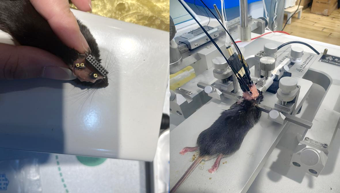 202509181039.png 图片1 拷贝.png