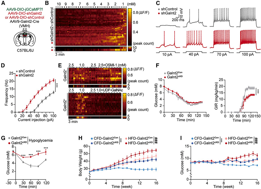 202510241648.jpg 7 拷贝.jpg