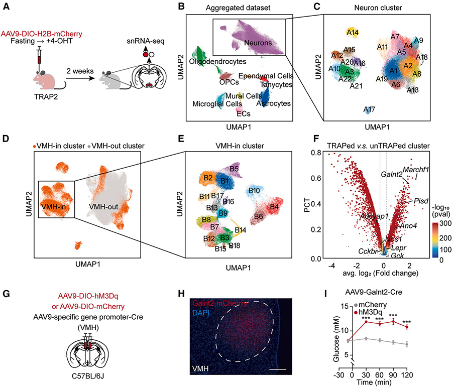 202510248980.jpg 6 拷贝.jpg