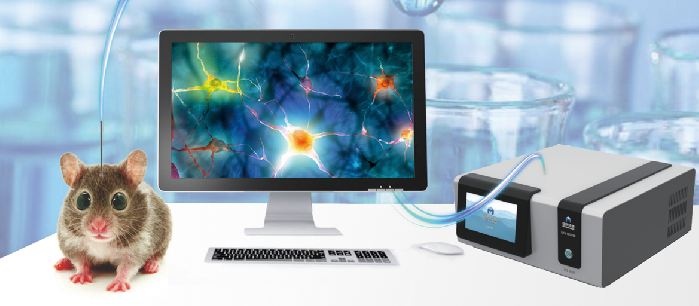 脑化学物质实时分析系统常见问题总结